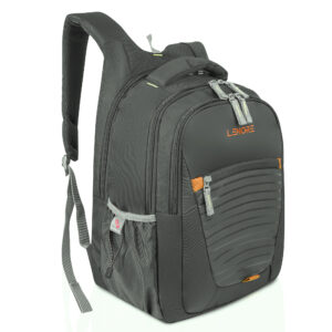Lenore Laptop Backpack 123
