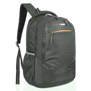 Lenore Laptop Backpack 127